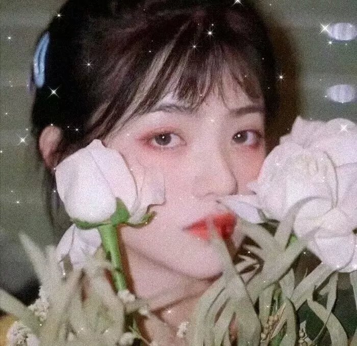 起起落落 封面